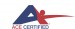 ace logo