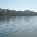 landscape (homepage)