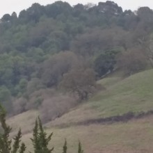 hills